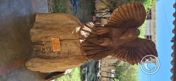 Museo del Charango (7)