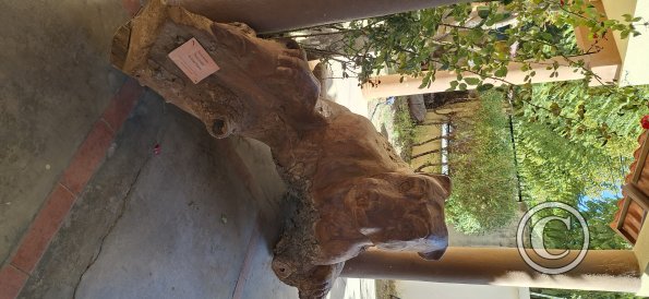 Museo del Charango (8)