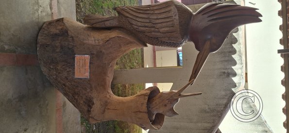 Museo del Charango (9)
