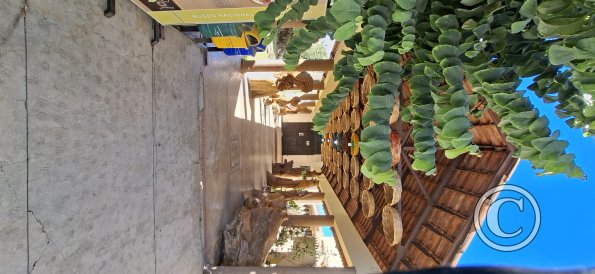 Museo del Charango