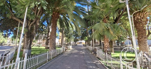 Plaza 20 de Diciembre (4)
