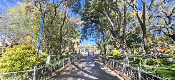 Plaza de Mayo (3)