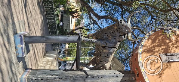 Plaza de Mayo (5)