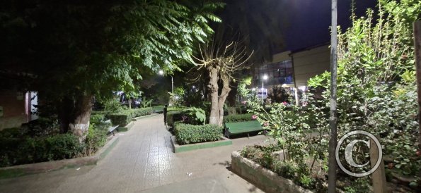 Mercado