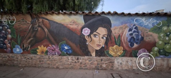 Mural on Av Maurer (13)