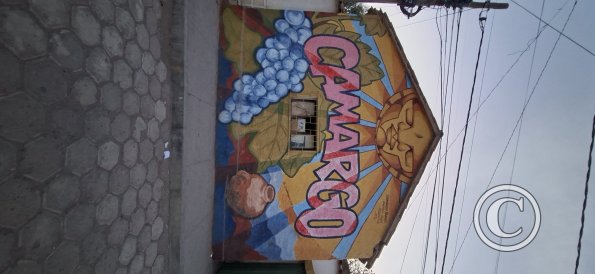 Mural on Av Maurer (5)