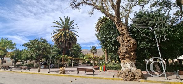 Plaza Principal (7)