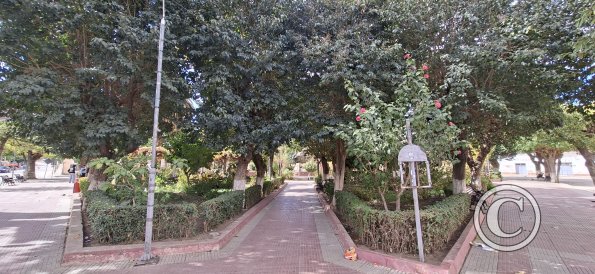 Plaza Principal (8)
