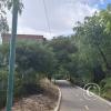 Bike path (2)