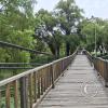Foot bridge over Rio Rocha