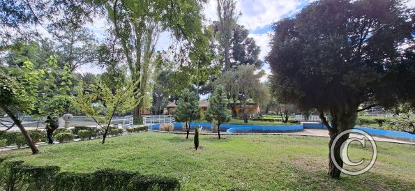 Jardín Botánico Martín Cárdenas (18)