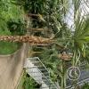 Jardín Botánico Martín Cárdenas (26)