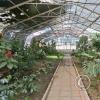 Jardín Botánico Martín Cárdenas (28)