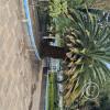 Jardín Botánico Martín Cárdenas (36)
