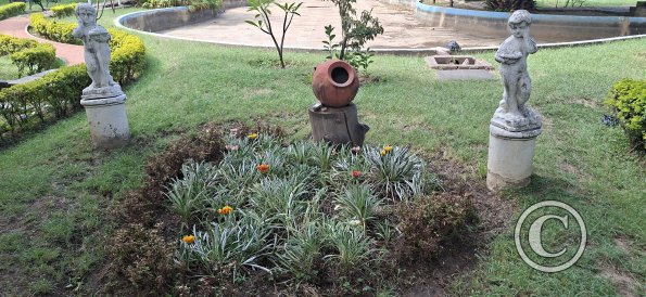 Jardín Botánico Martín Cárdenas (37)