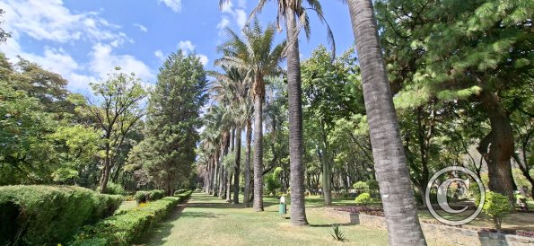 Jardín Botánico Martín Cárdenas (4)