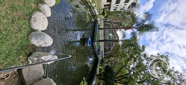 Jardín Botánico Martín Cárdenas (42)