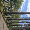 Jardín Botánico Martín Cárdenas (48)