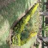 Jardín Botánico Martín Cárdenas (52)