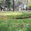 Jardín Botánico Martín Cárdenas (55)