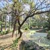 Jardín Botánico Martín Cárdenas (6)