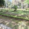 Jardín Botánico Martín Cárdenas (62)
