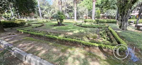 Jardín Botánico Martín Cárdenas (62)