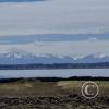Lake Titicaca and snow capped mountains (2)