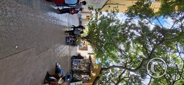 Pasaje Jose Alonso de Ibanez (3)