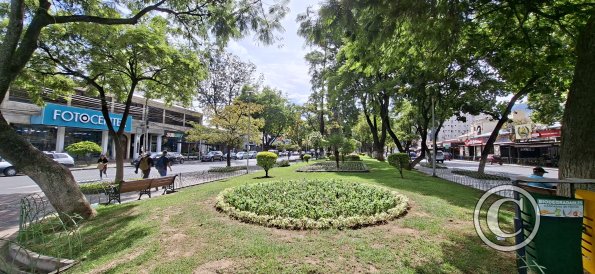 Paseo El Prado in Av Jose Ballivian (12)