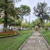 Paseo El Prado in Av Jose Ballivian (2)