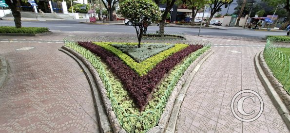 Paseo El Prado in Av Jose Ballivian (4)