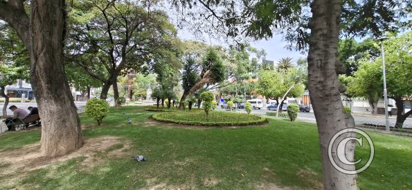 Paseo El Prado in Av Jose Ballivian (7)