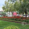 Paseo El Prado in Av Jose Ballivian (9)