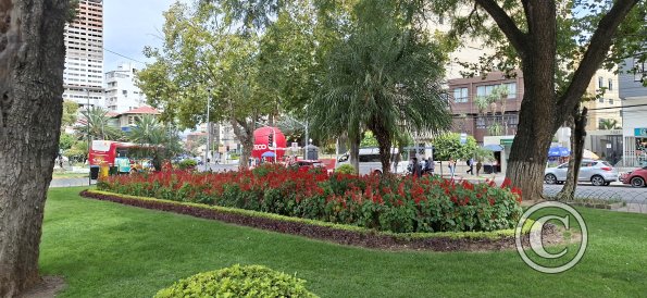 Paseo El Prado in Av Jose Ballivian (9)