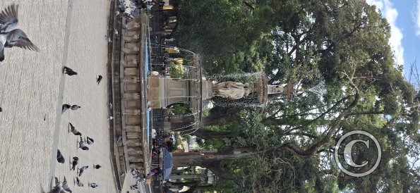 Plaza 14 de Septiembre (15)