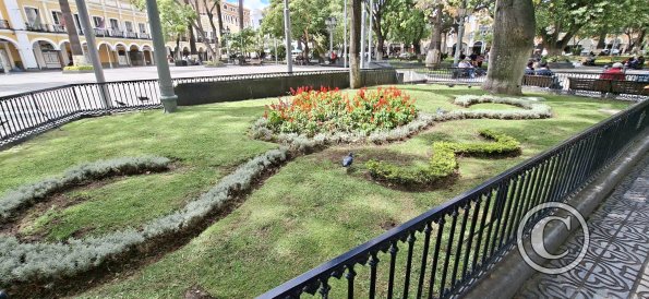 Plaza 14 de Septiembre (3)