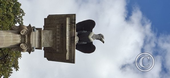 Plaza 14 de Septiembre (5)