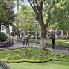 Plaza 14 de Septiembre (6)