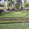 Plaza 14 de Septiembre (8)