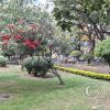 Plaza Barba de Padilla at Calle Espana and Calle Jose de la Reza (3)