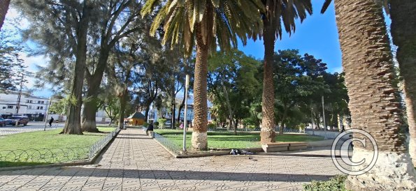 Plaza Esteban at Calle Plaza Estaban Arze and Av Aroma (8)