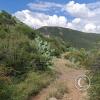 View from the hiking trail going around the hill with the Christ statue (3)