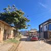 Street scene (11)