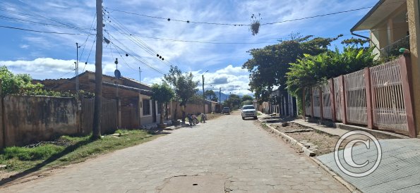 Street scene (13)