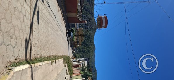 Street scene (14)