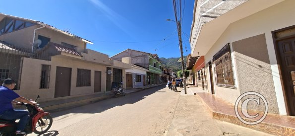Street scene (18)