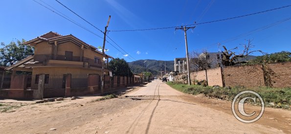 Street scene (22)