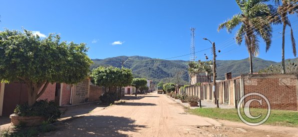 Street scene (23)