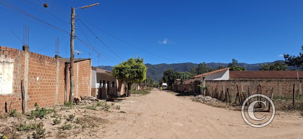 Street scene (24)